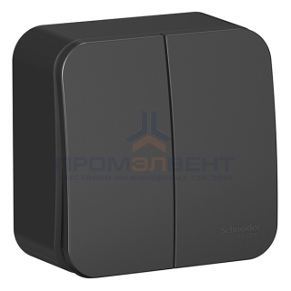 Выключатель 2-клавишный (cх.5) Blanca Schneider Electric 10А 250В антрацит